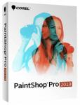 PaintShop Pro 2019 ML Mini Box