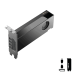 PNY NVIDIA RTX PRO 2000 Blackwell 16GB GDDR7 128bit,4352 CUDA,PCIe5.0x8, 4xminiD