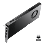 PNY NVIDIA RTX PRO 4000 Blackwell 24GB GDDR7/192bit 8960 CUDA PCIe 5.0x16, 4xDP,