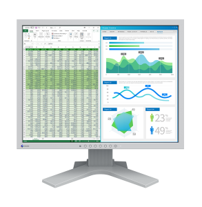 EIZO 21" S2134-GY "S" monitor, szürke