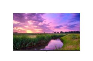 LG 55" 55UN342H 4K UHD Hotel TV