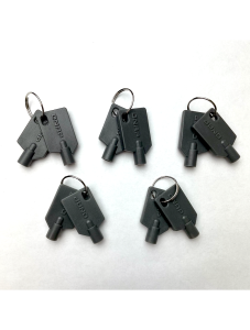 Qnap Key for TRAY-25-BLK01, TRAY-25-BLK02, TRAY-35-BLK01, TRAY-35-WHT01, 10pcs