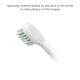 TrueLife SonicBrush Travel T100 Heads Standard pótfej